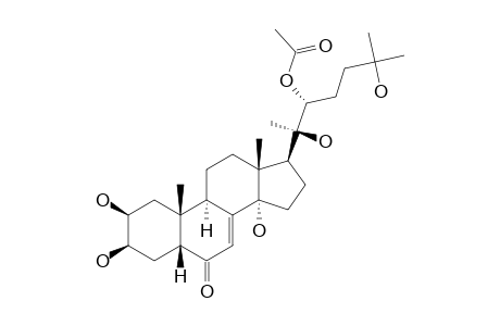 22-O-ACETYL-20-HYDROXY-ECDYSONE