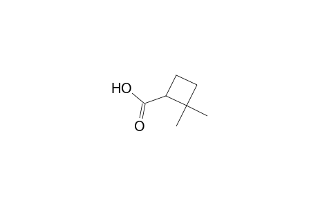 2,2-Dimethylcyclobutane-1-carboxylic acid