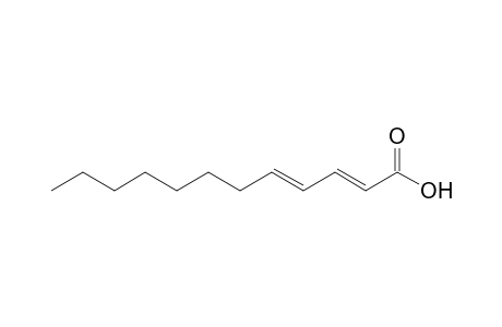 (2E,4E)-dodeca-2,4-dienoic acid