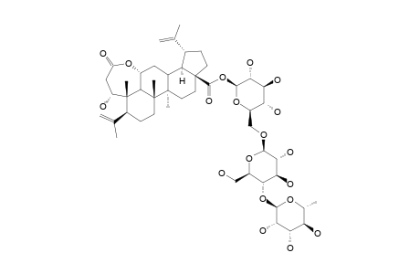 CHIISANOSIDE