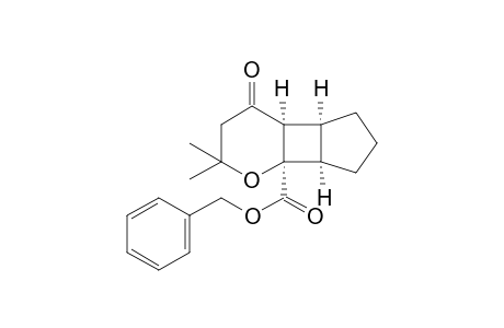 benzyl (4aS,4bS,7aR,7bR)-2,2-dimethyl-4-oxooctahydrocyclopenta[3,4]cyclobuta[1,2-b]pyran-7b(2H)-carboxylate