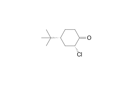 (2R,4R)-4-tert-butyl-2-chlorocyclohexan-1-one