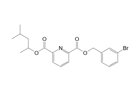 2,6-Pyridinedicarboxylic acid, 3-bromobenzyl 4-methylpent-2-yl ester