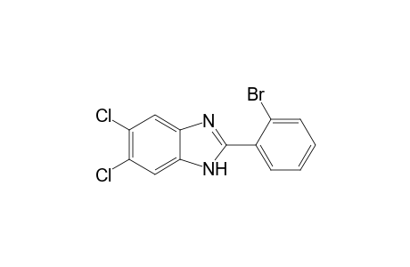 2-(2-Bromophenyl)-5,6-dichloro-1H-benzoimidazole