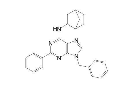 N6-norbornyl-2-phenyl-9-benzyladenine