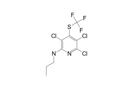 3,5,6-TRICHLORO-2-PROPYLAMINO-4-TRIFLUOROMETHYLTHIOPYRIDINE