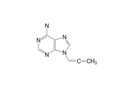 (9-propa-1,2-dienylpurin-6-yl)amine