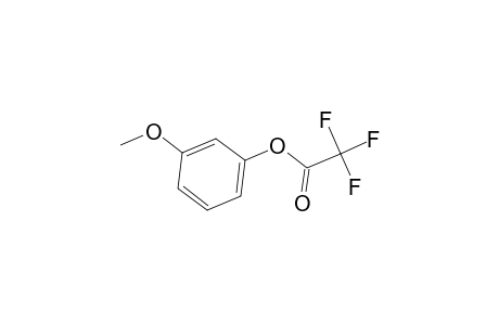 Acetic acid, trifluoro-, 3-methoxyphenyl ester