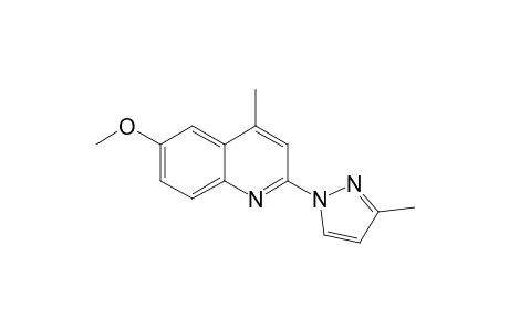 6-methoxy-4-methyl-2-(3-methylpyrazol-1-yl)quinoline