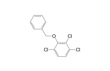 2,3,6-Trichlorophenyl benzyl ether