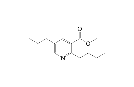 Methyl 5-n-propyl-2-n-butylpyridine-3-carboxylate
