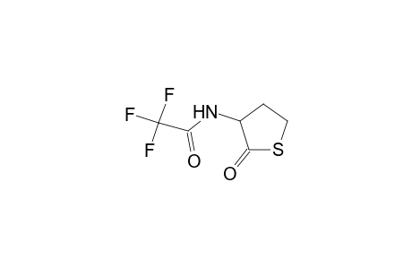 Acetamide, 2,2,2-trifluoro-N-(tetrahydro-2-oxo-3-thienyl)-