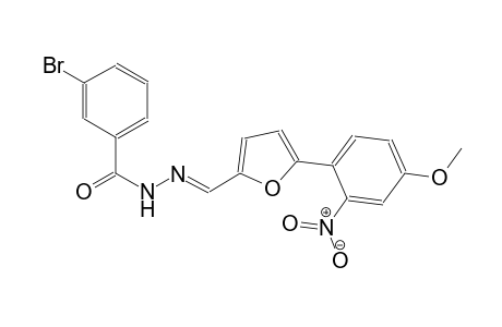 3-bromo-N'-{(E)-[5-(4-methoxy-2-nitrophenyl)-2-furyl]methylidene}benzohydrazide