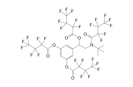 Tetraheptafluorobutanoyl derivative of Terbutaline