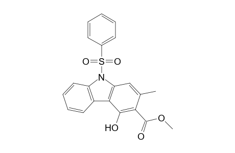 Methyl 9-phenylsulfonyl-4-hydroxy-2-methylcarbazole-3-carboxylate