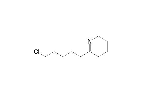 6-(5-Chloropentyl)-2,3,4,5-tetrahydropyridine