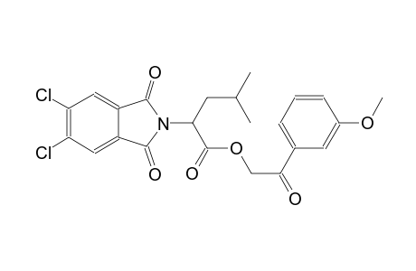 2-(3-methoxyphenyl)-2-oxoethyl 2-(5,6-dichloro-1,3-dioxo-1,3-dihydro-2H-isoindol-2-yl)-4-methylpentanoate