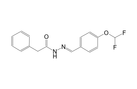 N'-{(E)-[4-(difluoromethoxy)phenyl]methylidene}-2-phenylacetohydrazide