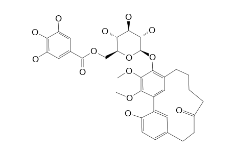 MYRICANONE-17-O-BETA-D-(6-O-GALLOYL)-GLUCOPYRANOSIDE
