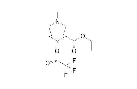 Cocaethylene-M (ethylecgonine) TFA    @