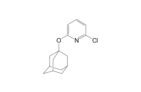 2-(Adamantan-1-yloxy)-6-chloropyridine