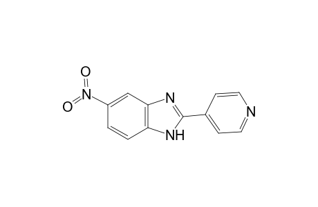 5-Nitro-2-(4-pyridinyl)-1H-benzimidazole