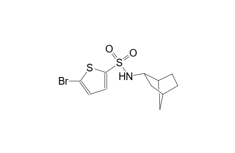 N-bicyclo[2.2.1]hept-2-yl-5-bromo-2-thiophenesulfonamide