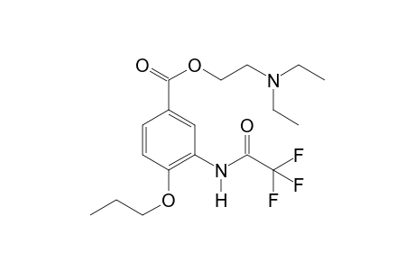 Proparacaine TFA