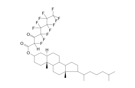 CHOLESTANYL 2-HYDRO-3-OXOPERFLUOROOCTANOATE, KETO