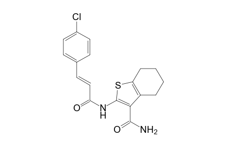 2-[[(E)-3-(4-chlorophenyl)-1-oxoprop-2-enyl]amino]-4,5,6,7-tetrahydro-1-benzothiophene-3-carboxamide