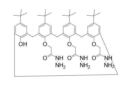 5,11,17,23-Tetra-tert-butyl-25-hydroxy-26,27,28-tris(hydrazinocarbonylmethyloxy)calix[4]arene