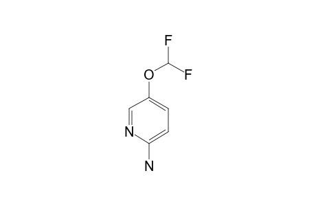 2-AMINO-5-DIFLUOROMETHOXY-PYRIDINE