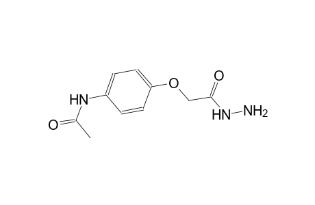 N-[4-(2-hydrazino-2-oxoethoxy)phenyl]acetamide