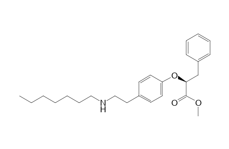 S-Methyl 2-[4-(2-heptylamino-ethyl)phenoxy]-3-phenyl-propanoate