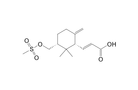 2-Propenoic acid, 3-[2,2-dimethyl-6-methylene-3-[[(methylsulfonyl)oxy]methyl]cyclohexyl]-, [1.alpha.(E),3.alpha.]-(.+-.)-