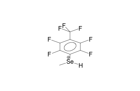 4-TRIFLUOROMETHYL-2,3,5,6-TETRAFLUOROPHENYLMETHYLSELENIDE, PROTONATED