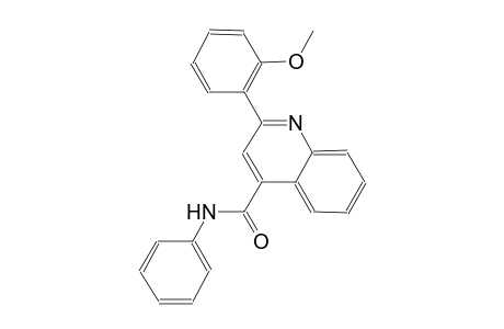 2-(2-methoxyphenyl)-N-phenyl-4-quinolinecarboxamide