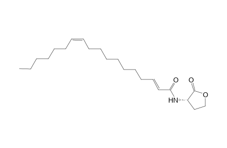 (2E,11Z)-N-Octadeca-2,11-dienoyl-L-homoserine lactone