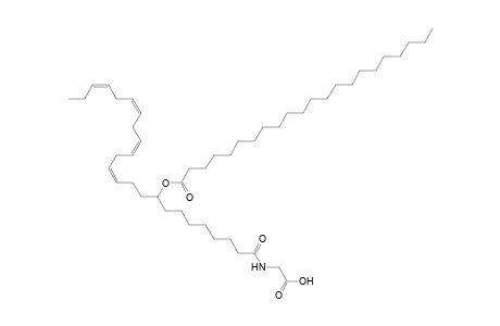 NAGly 22:0/24:4