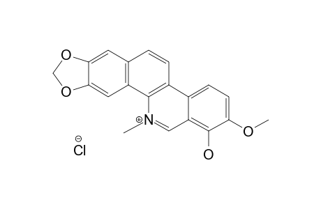 7-HYDROXY-8-METHOXY-5-METHYL-2,3-(METHYLENEDIOXY)-BENZO-[C]-PHENANTHRIDINIUM_CHLORIDE