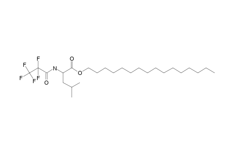 L-Leucine, N-pentafluoropropionyl-, hexadecyl ester