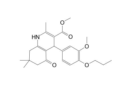 methyl 4-(3-methoxy-4-propoxyphenyl)-2,7,7-trimethyl-5-oxo-1,4,5,6,7,8-hexahydro-3-quinolinecarboxylate