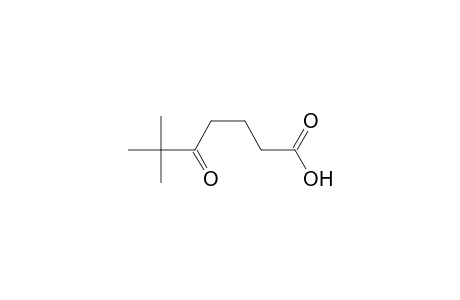 6,6-Dimethyl-5-oxoheptanoic Acid