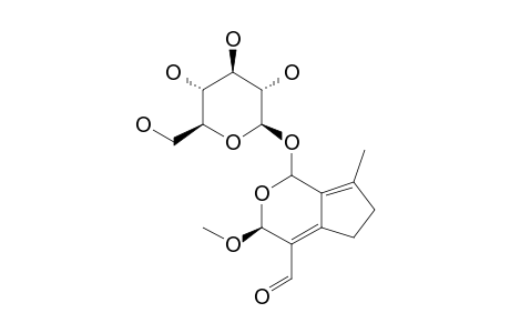 (1S,3S)-1-(BETA-D-GLUCOPYRANOSYLOXY)-1,3,5,6-TETRAHYDRO-3-METHOXY-7-METHYL-CYCLOPENTA-[C]-PYRAN-4-CARBOXALDEHYDE