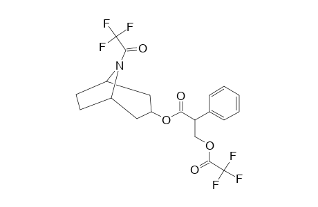 Noratropine, N,o-bis(trifluoroacetyl)-