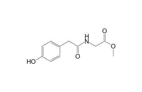 2-[[2-(4-hydroxyphenyl)-1-oxoethyl]amino]acetic acid methyl ester