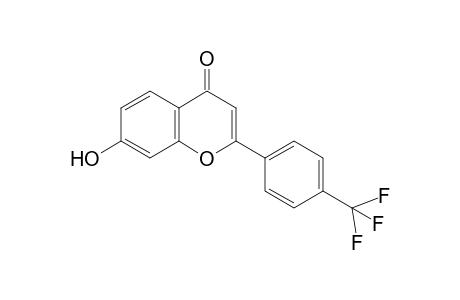 7-Hydroxy-2-(4-trifluoromethylphenyl)benzopyran-4-one