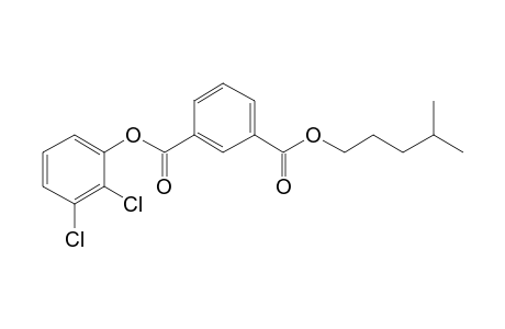 Isophthalic acid, 2,3-dichlorophenyl isohexyl ester