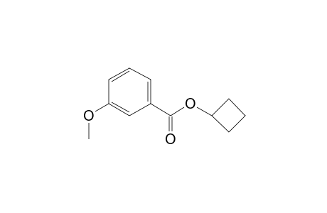 Cyclobutyl 3-methoxybenzoate