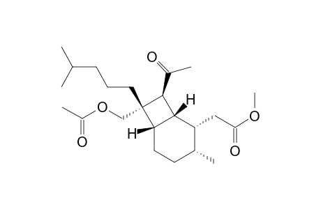 Bicyclo[4.2.0]octane-2-acetic acid, 8-acetyl-7-[(acetyloxy)methyl]-3-methyl-7-(4-methylpentyl)-, methyl ester, [1R-(1.alpha.,2.beta.,3.beta.,6.alpha.,7.alpha.,8.alpha.)]-
